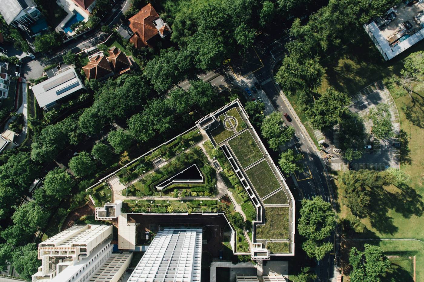 Vue aérienne d'une toiture végétalisée au milieu des arbres